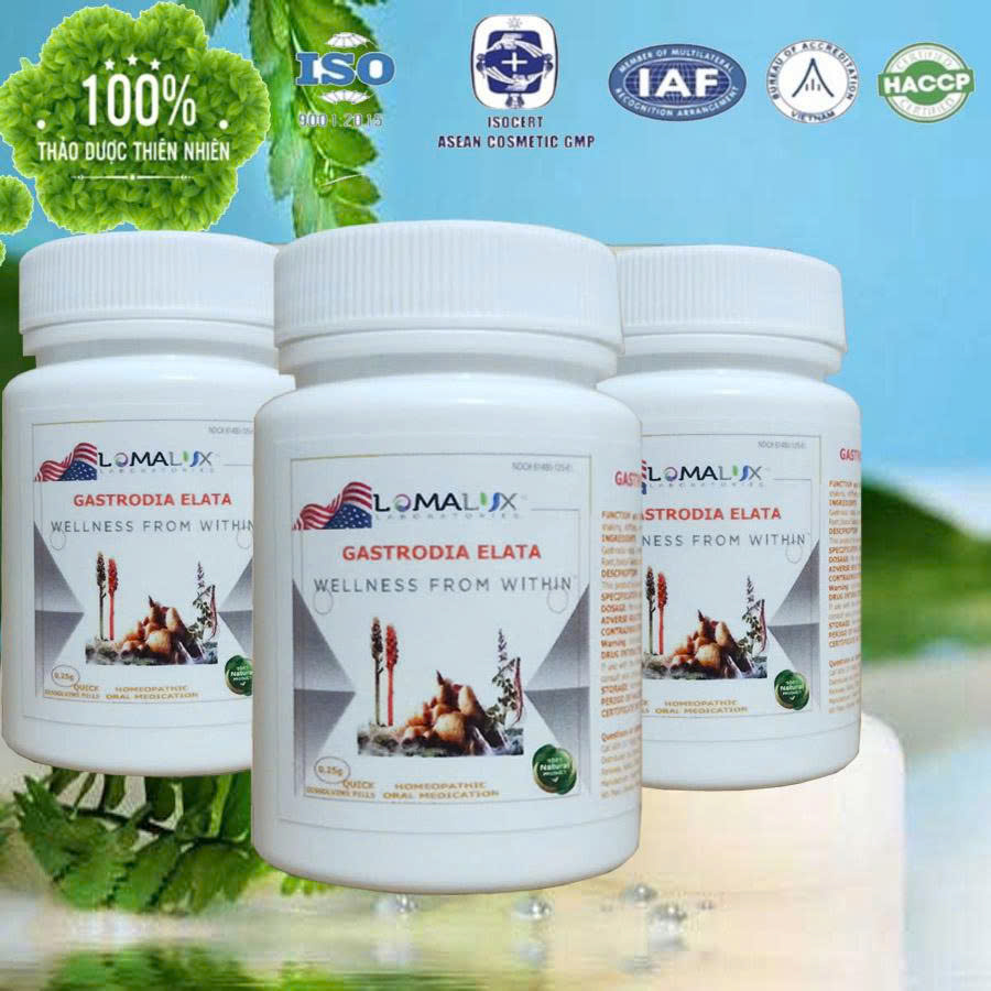 Thảo dược trị bệnh Parkinson - Run tay chân Gastrodia Elata